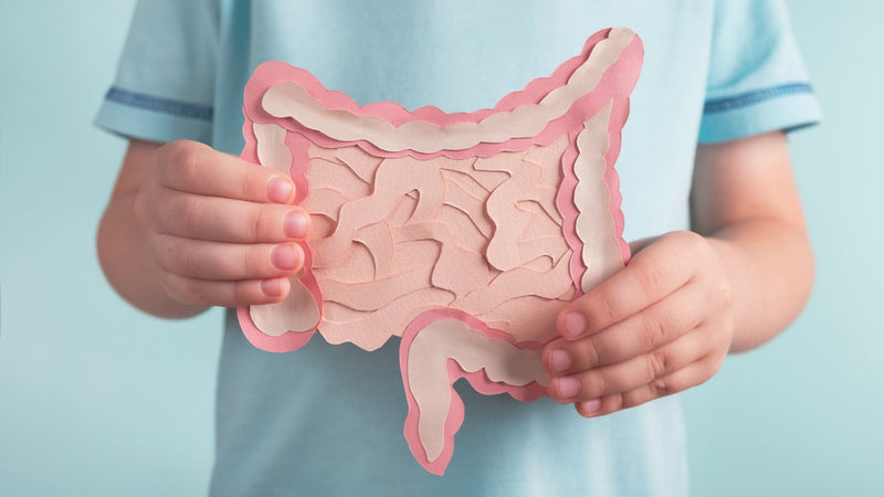 What Is The Difference Between IBS and IBD?