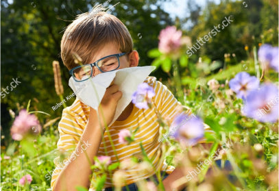 Hay fever: how to relieve your symptoms