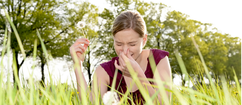 allergy-sneezing-blog-banner