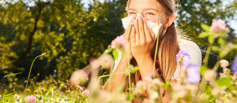 hayfever-blog-banner
