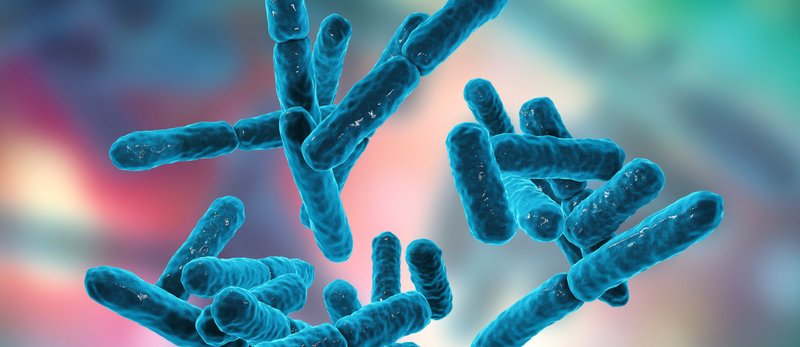 Understanding the Power of Probiotics and Prebiotics