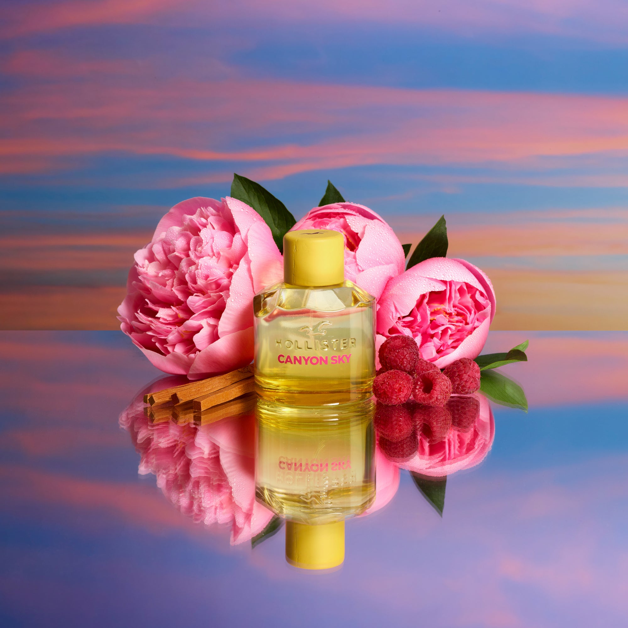 Hollister 100ml on sale