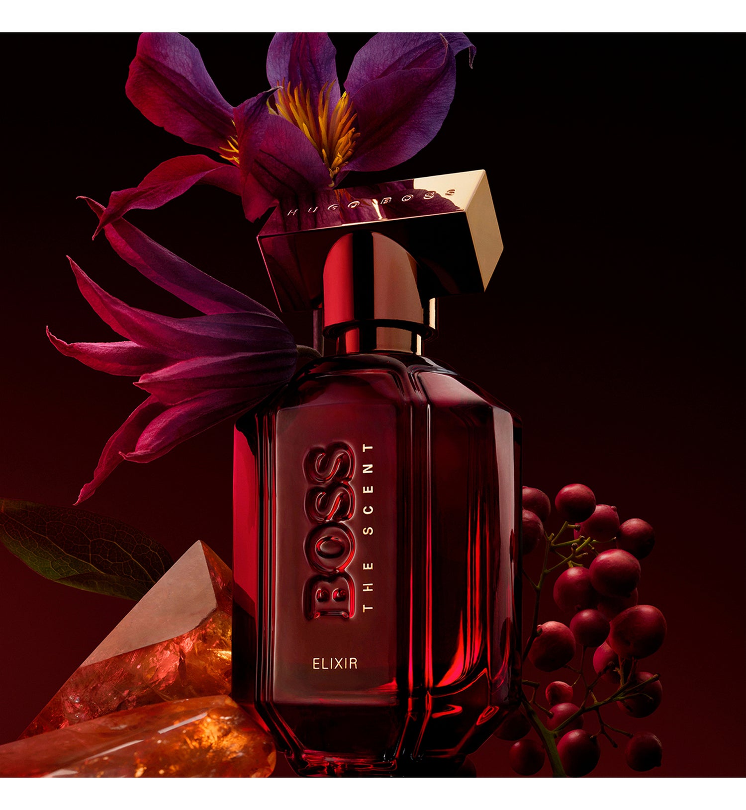 Accord The Scent Absolute Fragrantica Hugo Boss The Scent Private