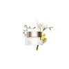 Clarins Nutri Lumiere SPF 15 Day Cream 50ML - 50ML