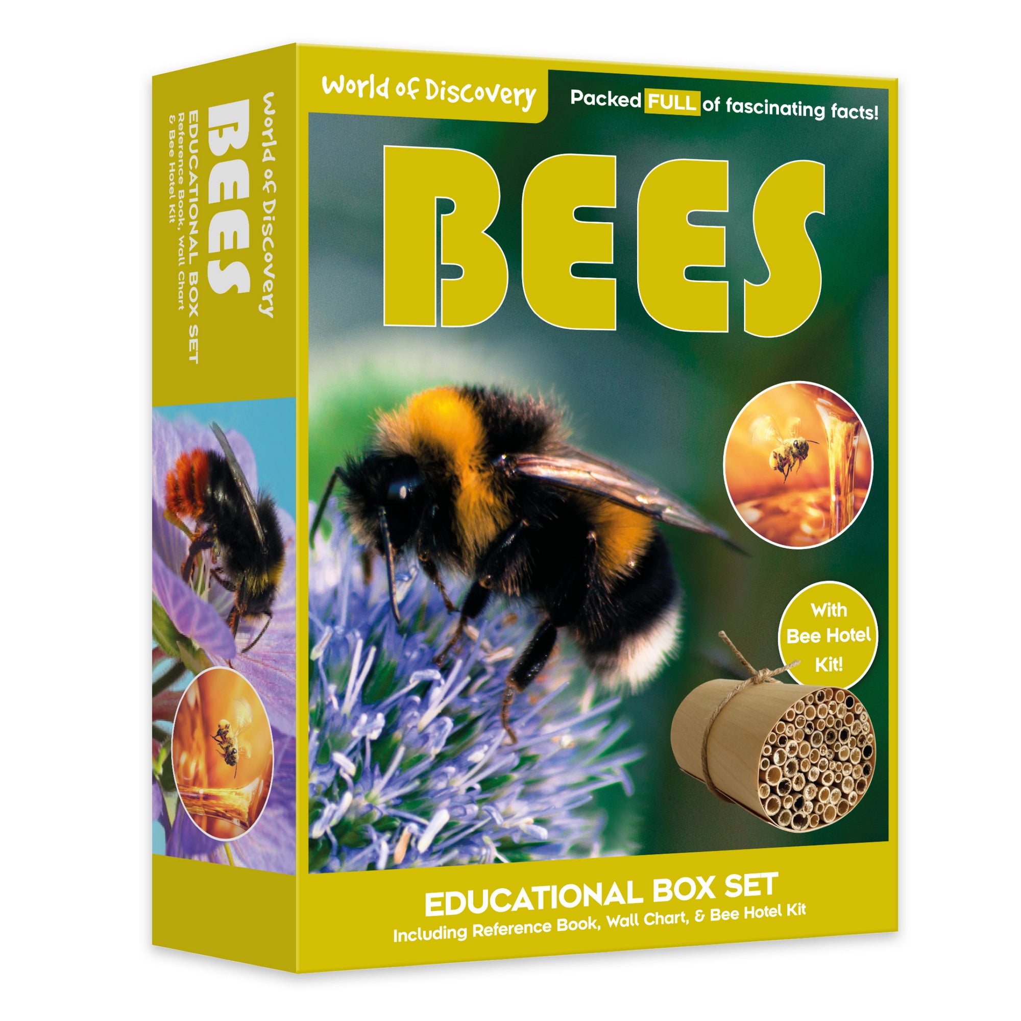 World of Discovery Bees Educational Box Set
