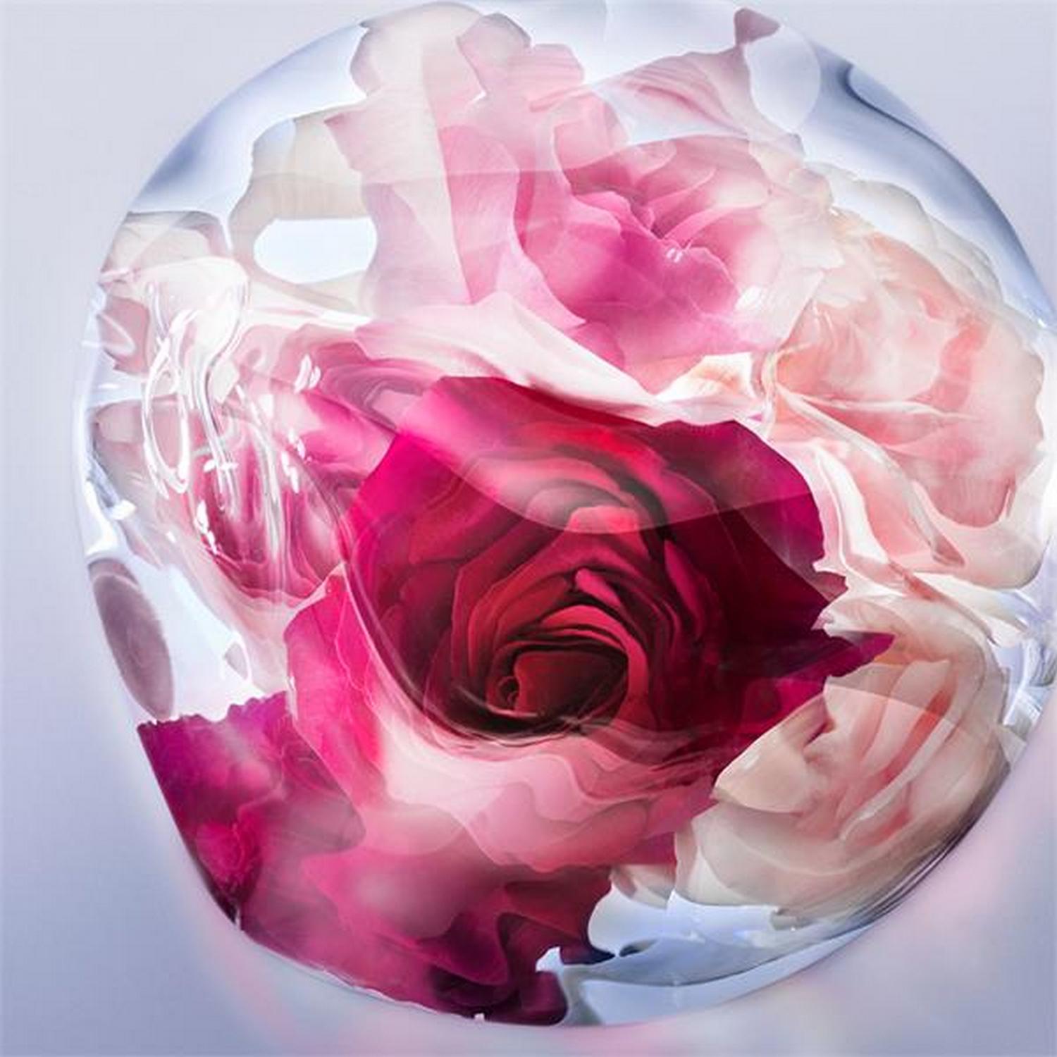 Lancome La Vie Est Belle Rose Extra EDP 30ML