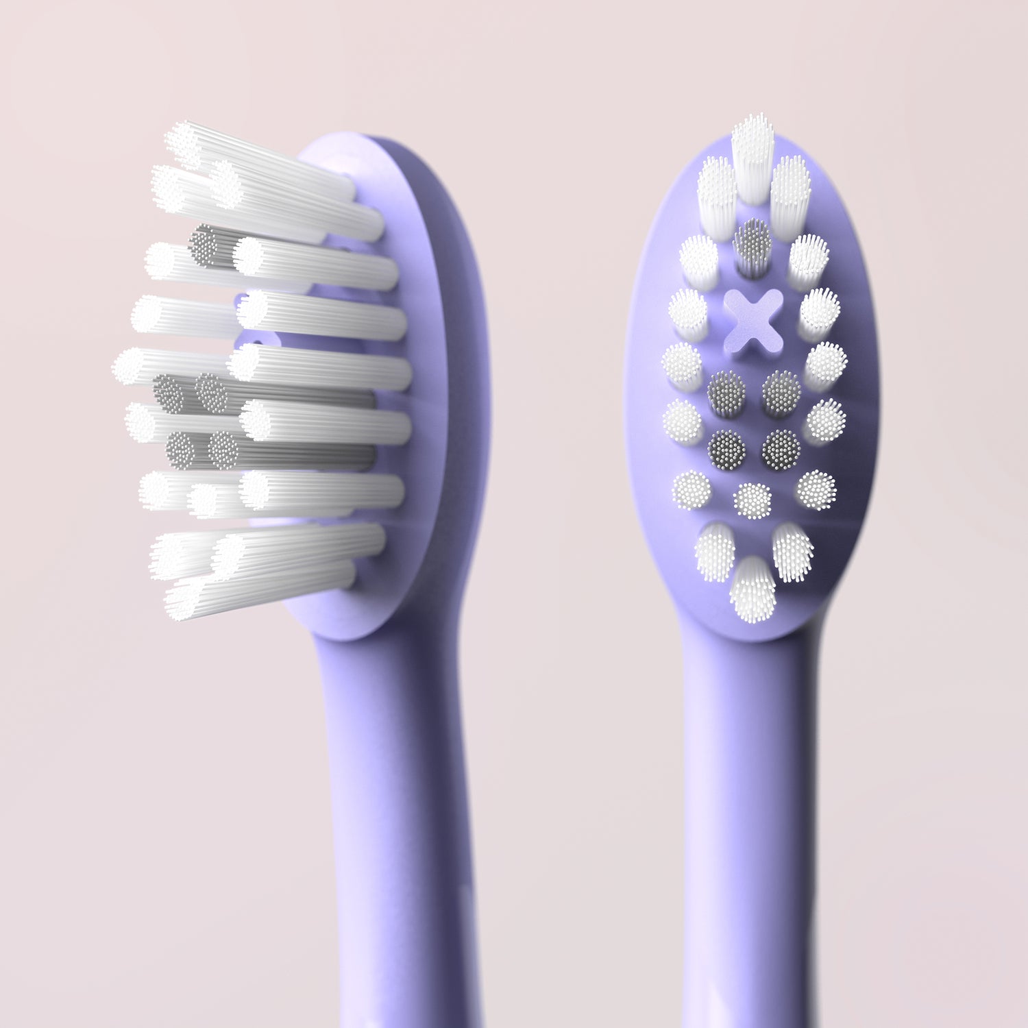 Ordo Sonic+ Toothbrush &amp; Case Violet