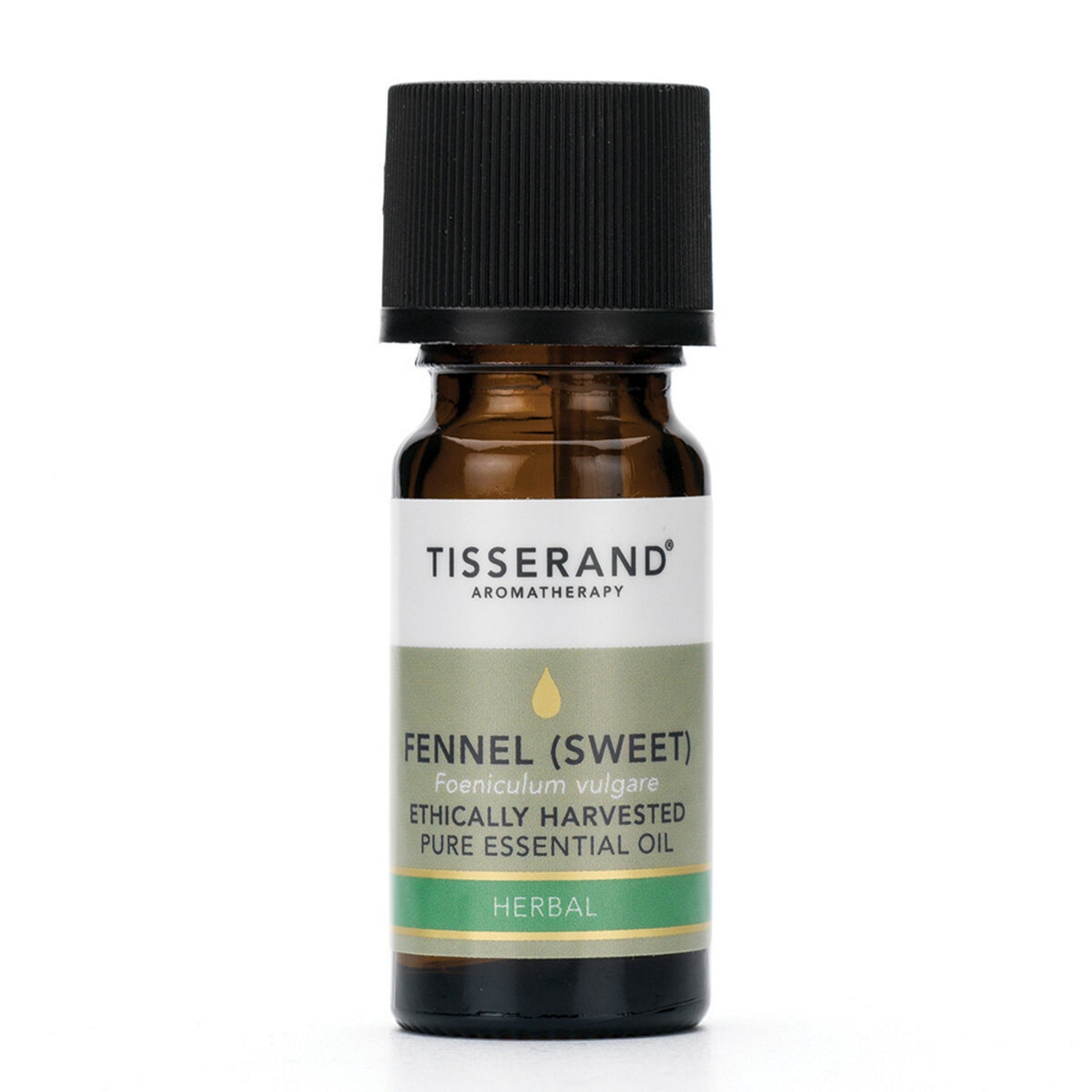Tisserand Aromatherapy Pure Essential Oil 9ml Fennel