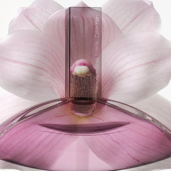 Calvin klein on sale pink perfume